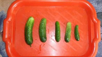 маринованные огурчики