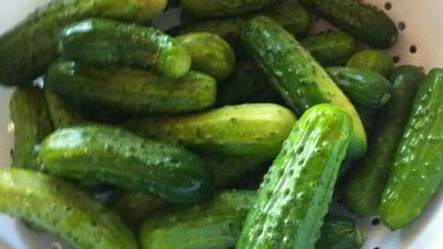 маринованные огурцы хрустящие на зиму