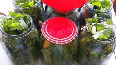 маринованные огурцы хрустящие в литровых банках