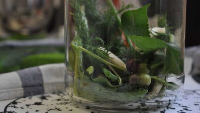 маринованные огурцы на зиму