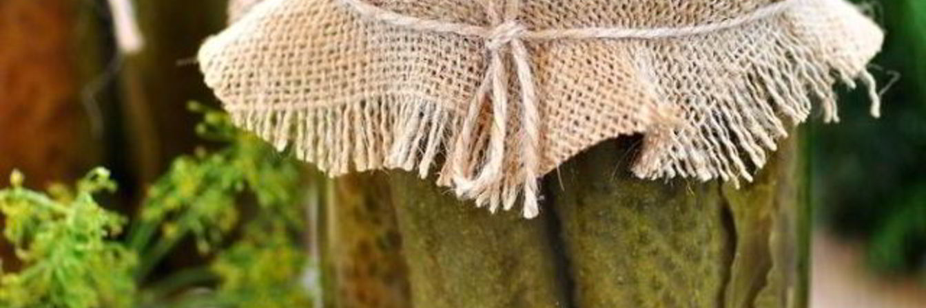 Маринованные огурцы с кориандром без стерилизации