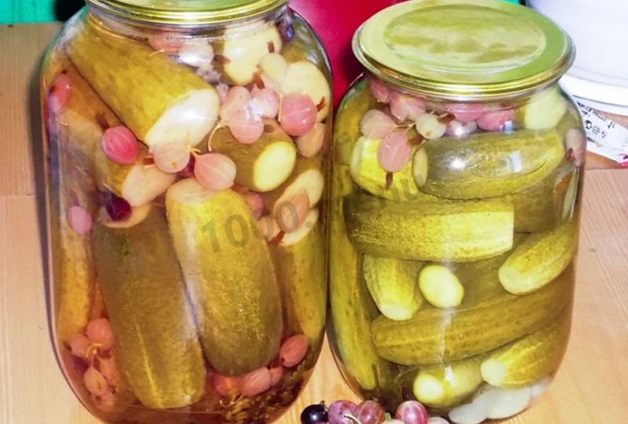 Маринованные огурцы с крыжовником хрустящие на зиму