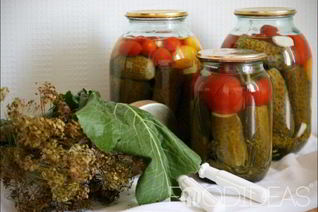 Маринованные огурцы с помидорами