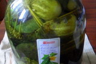 Маринованные огурцы