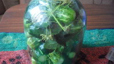 маринованные огурцы