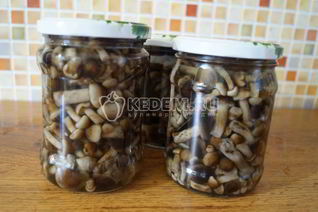 Маринованные опята Малыши в банке