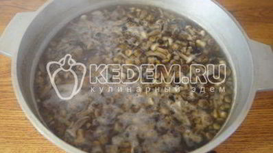 маринованные опята малыши в банке