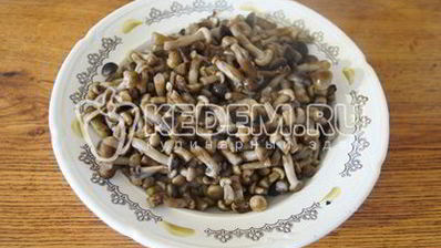 маринованные опята малыши в банке