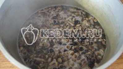 маринованные опята малыши в банке