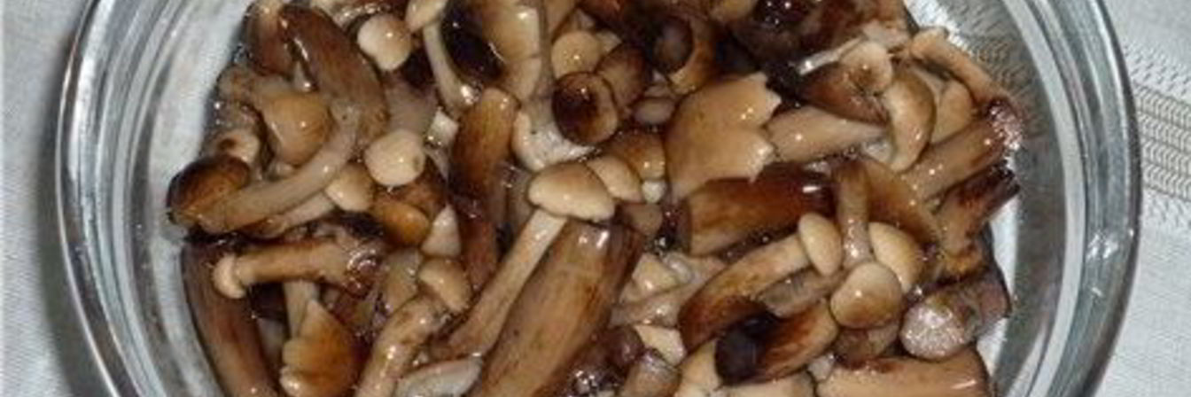 Маринованные опята в масле