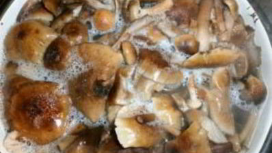 маринованные опята в масле