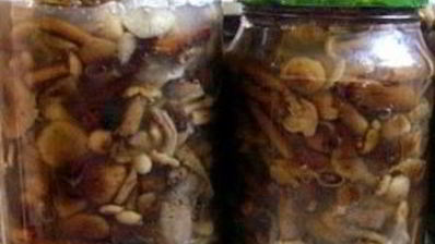 маринованные опята в масле