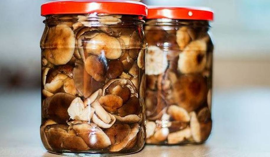 Рецепт маринованных опят