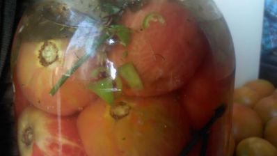 маринованные помидоры