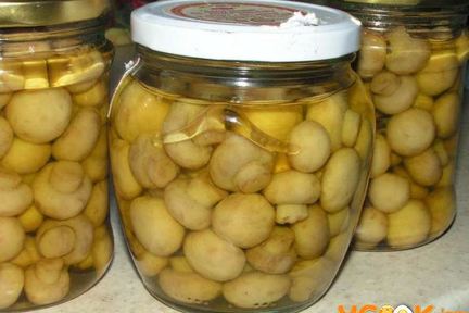 Маринованные шампиньоны, закрытые на зиму