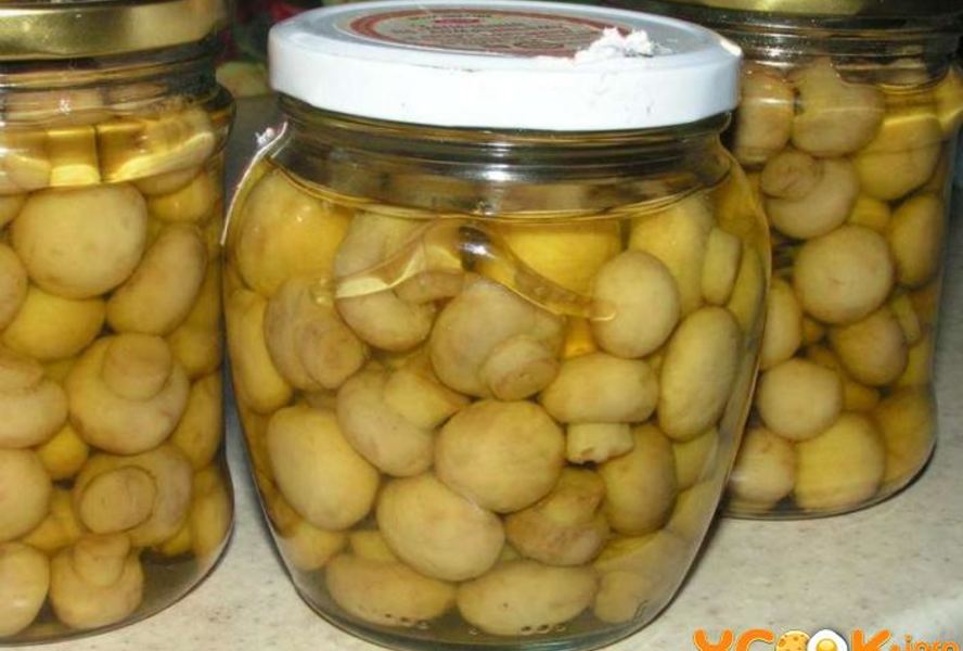 Маринованные шампиньоны, закрытые на зиму