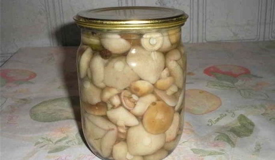 Рецепт маринованных шляпок подберезовиков