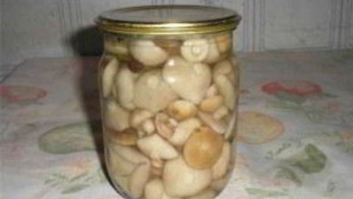 маринованные шляпки подберезовиков
