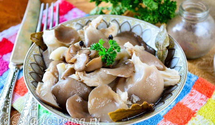 Рецепт маринованных вешенок