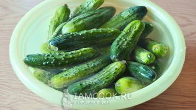 огурцы маринованные по-болгарски