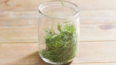 патиссоны, маринованные без стерилизации