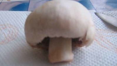 шампиньоны маринованные