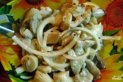 Вешенки соленые маринованные