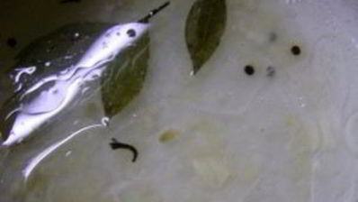 вешенки соленые маринованные