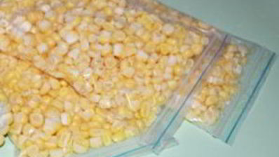 молодая кукуруза на зиму