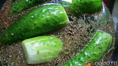 огурцы холодным способом на зиму