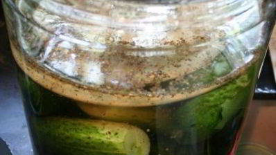 огурцы холодным способом на зиму