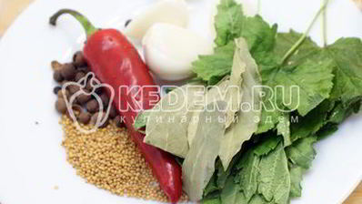 острые огурчики на зиму