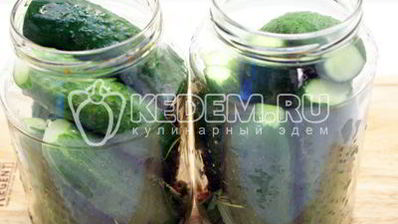 острые огурчики на зиму