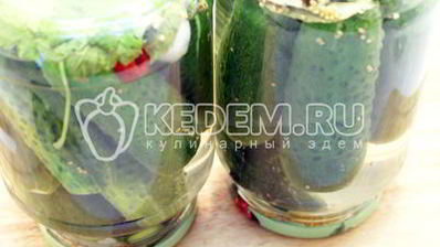 острые огурчики на зиму