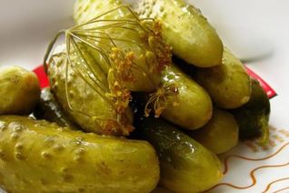 Популярный холодный способ засолки огурцов на зиму