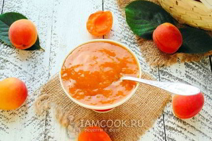 Повидло из абрикосов
