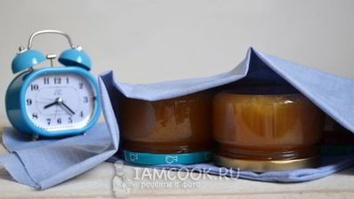 яблочное повидло в мультиварке на зиму