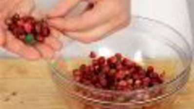 протертые ягоды