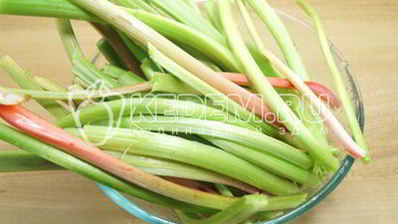 ревень на зиму