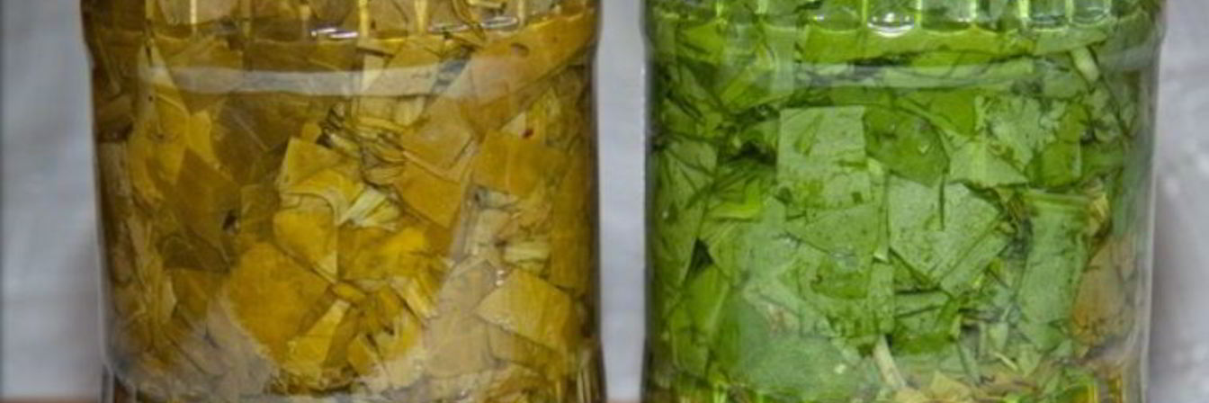 Щавель на зиму в банках