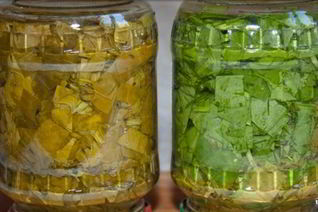 Щавель на зиму в банках