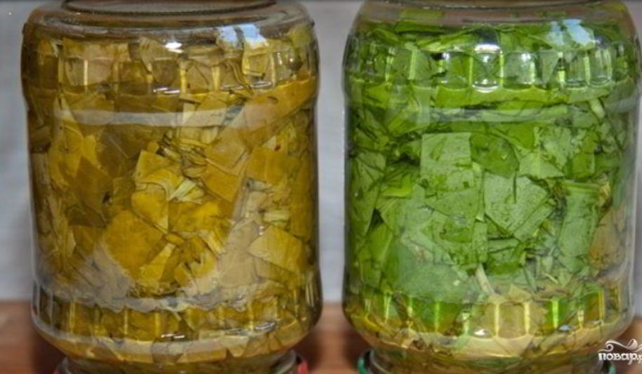 Рецепт щавеля на зиму в банках