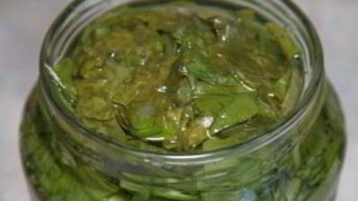 щавель на зиму в банках