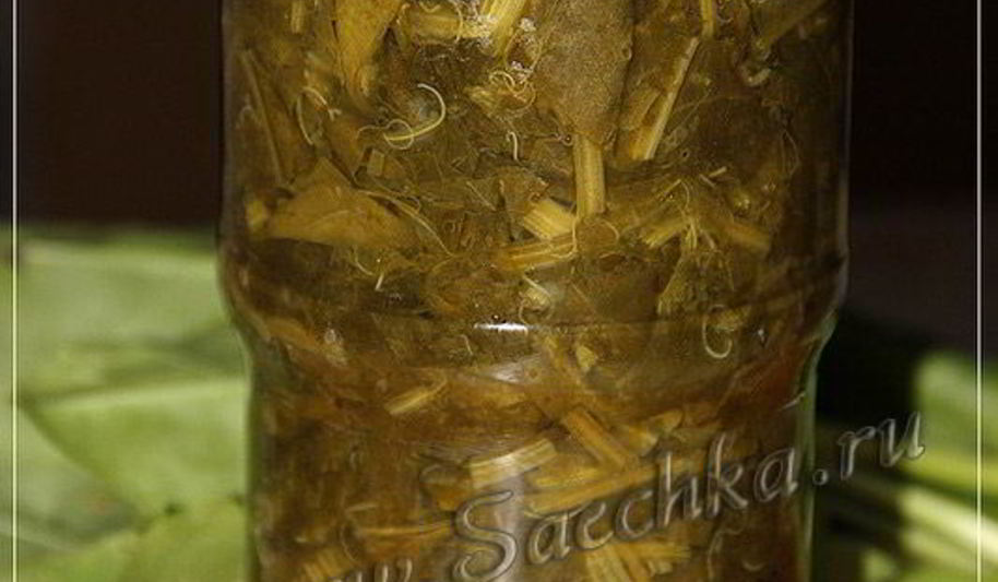 Рецепт щавеля на зиму