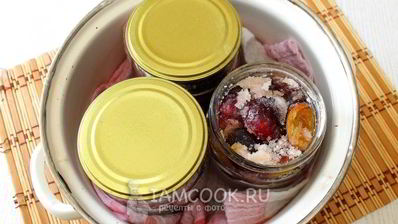 сливы в собственном соку на зиму