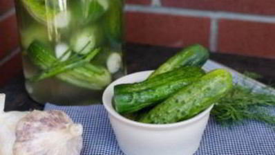 быстрые малосольные огурцы в банке