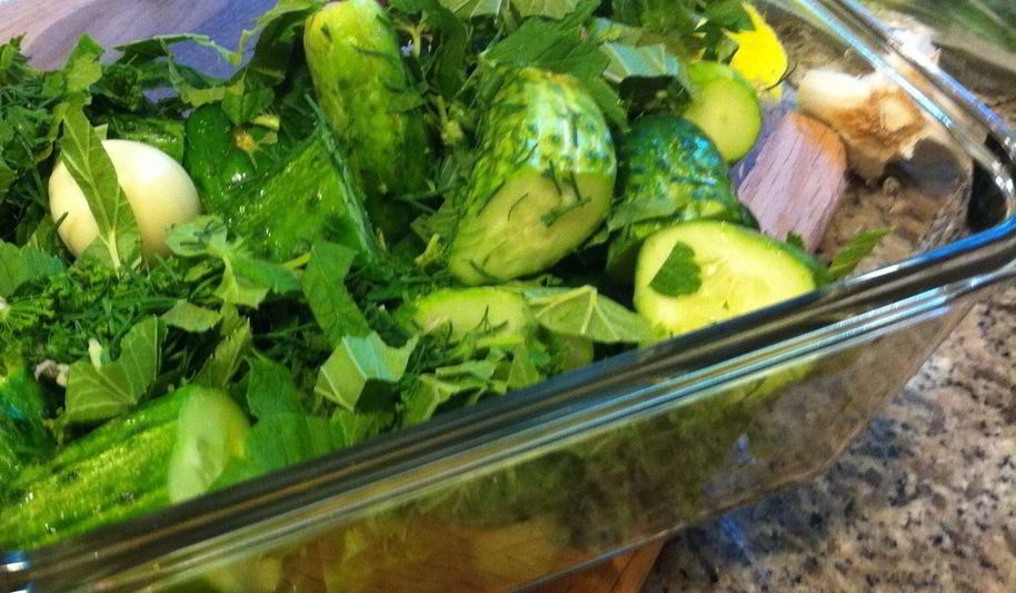 Рецепт быстрых малосольных огурцов