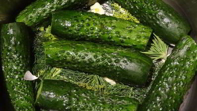 хрустящие малосольные огурчики