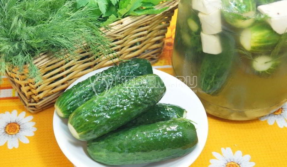 Рецепт хрустящих малосольных огурцов в банке