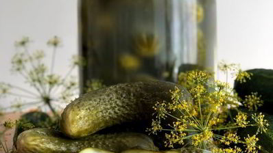 классические малосольные огурцы